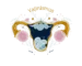 Vajinismus anijav